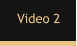 Video 2